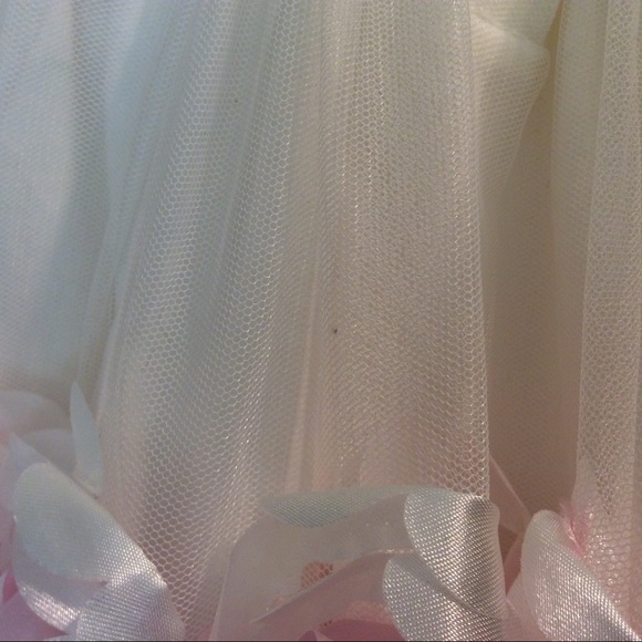 ❤️ 3 for 15❤️ “Nanette Baby” Tulle &Roses Dress! - Picture 6 of 7